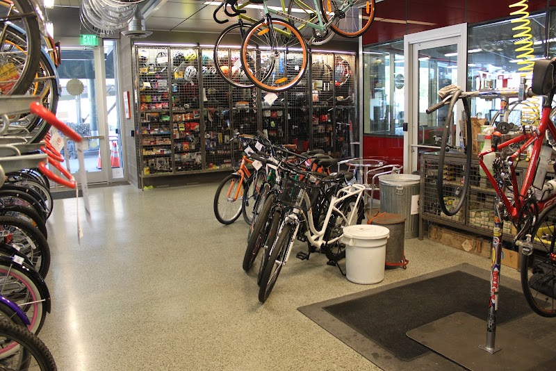 The Bicycle Cellar photo 5