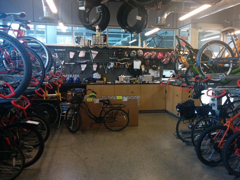 The Bicycle Cellar photo 2