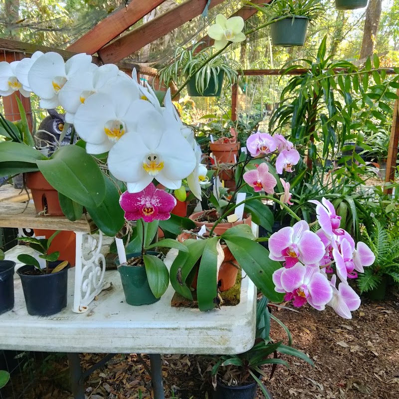 Abundant Gardens photo 4