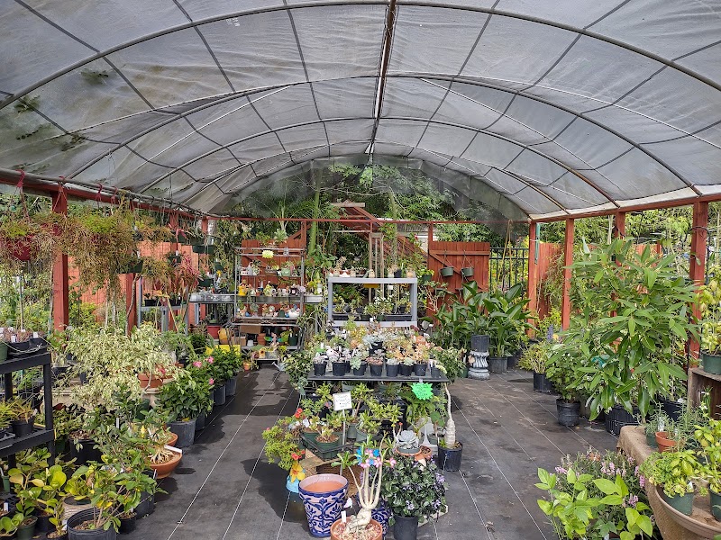Abundant Gardens photo 3