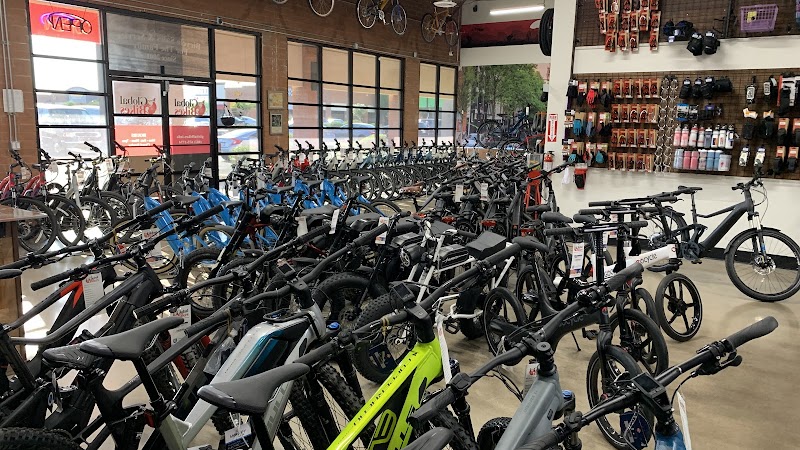 Global Bikes & E-Bikes - Mesa photo 2