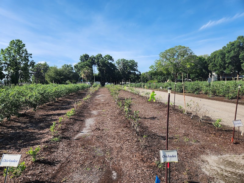 Church Lake Farms photo 4