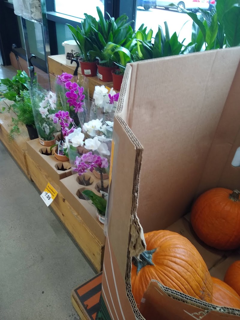 Grocery Outlet photo 3