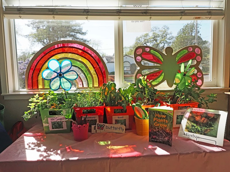 Cotati-Rohnert Park Co-op Nursery School photo 4