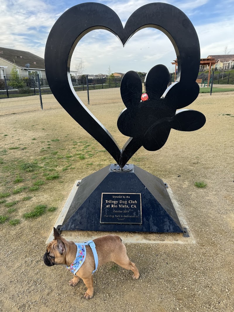 Trilogy at Rio Vista Private Dog Park photo 2