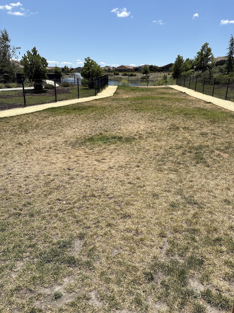 Trilogy at Rio Vista Private Dog Park photo 5