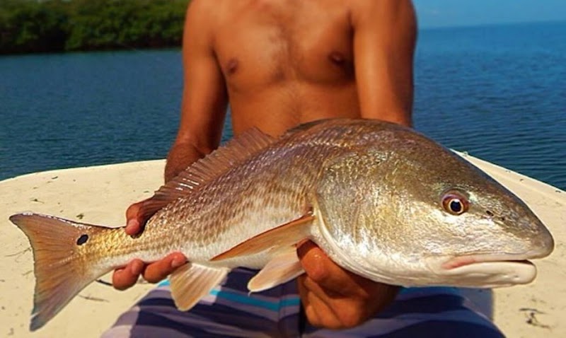 Photo of True Lies Fishing Company