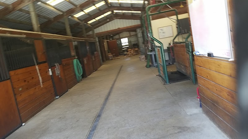 Cotati Large Animal Hospital photo 4