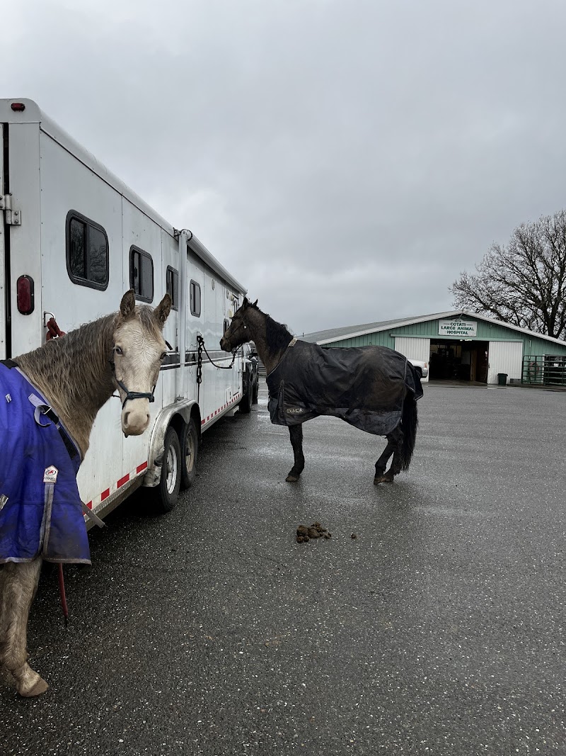 Cotati Large Animal Hospital photo 5