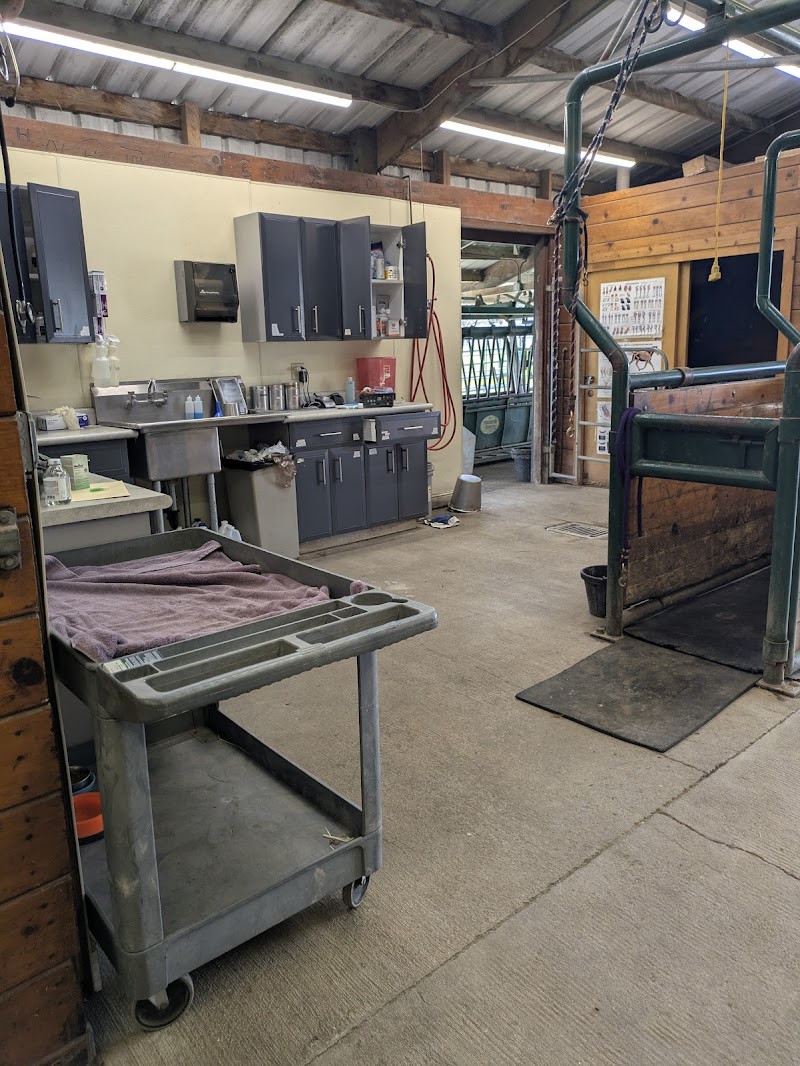 Cotati Large Animal Hospital photo 3