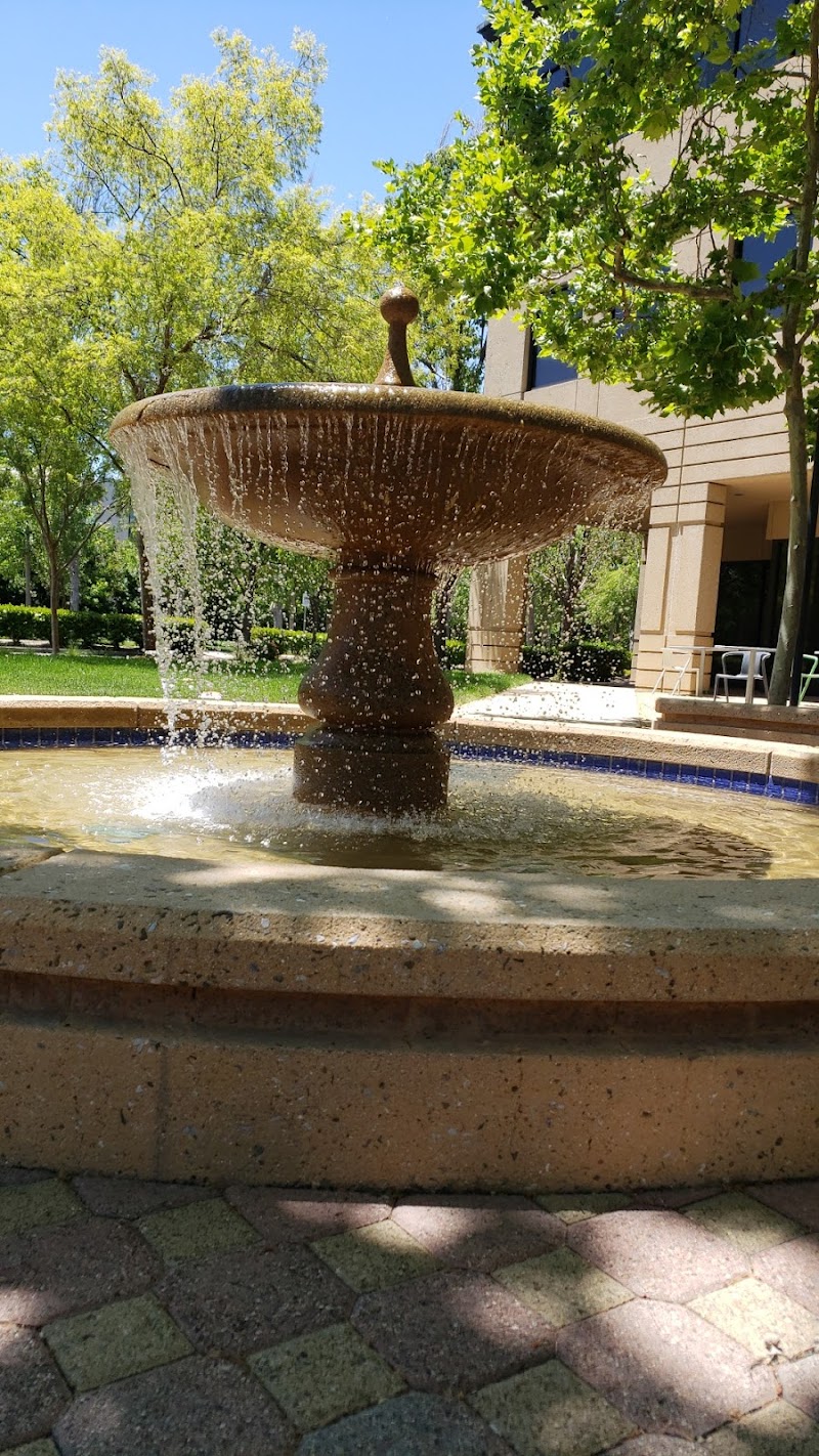 Google QD1 photo 3