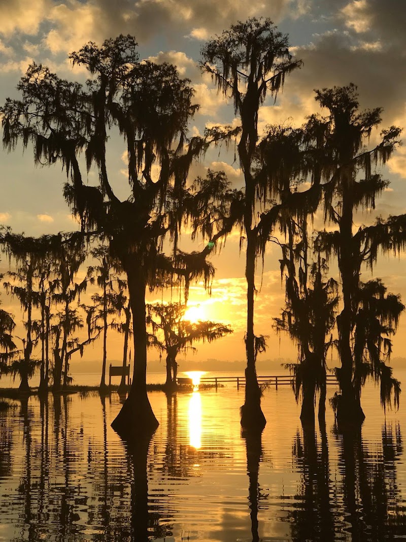 Photo of Cypress Cove Marina and Resort