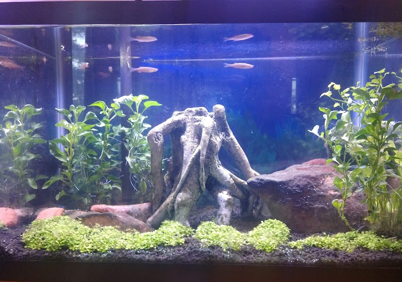 Vallejo Aquarium photo 4