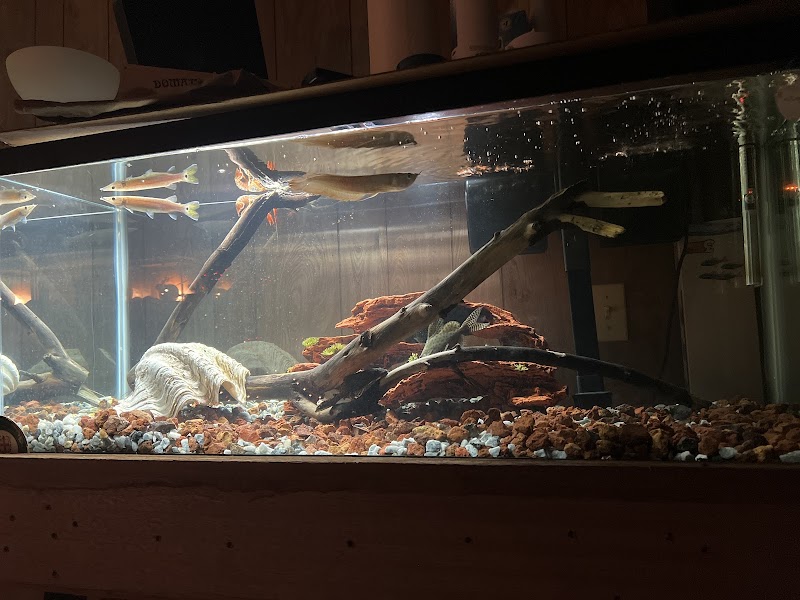 Vallejo Aquarium photo 3