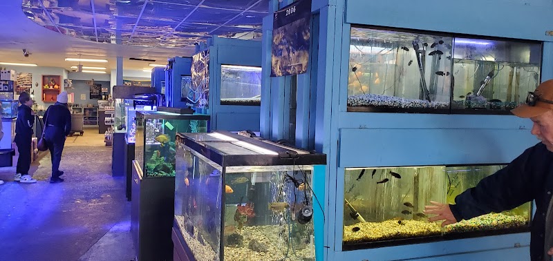 Vallejo Aquarium photo 2