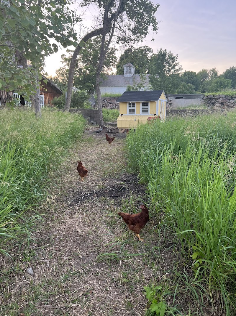Photo of Saratoga Farmstead & North Eastern Massage
