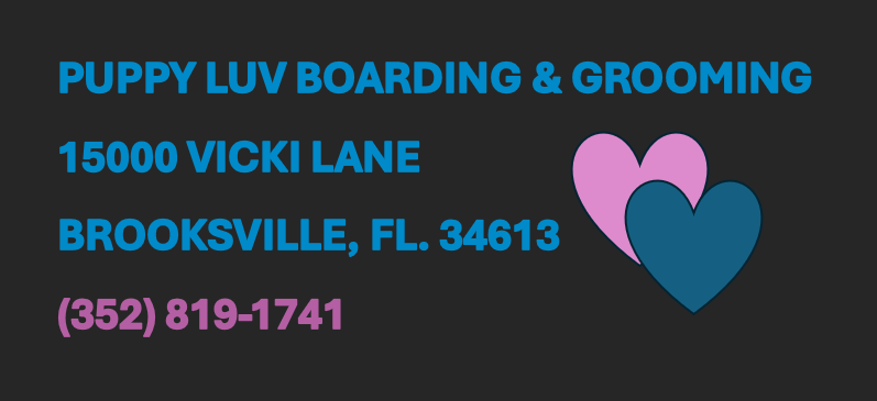 Photo of Puppy Luv Boarding & Grooming