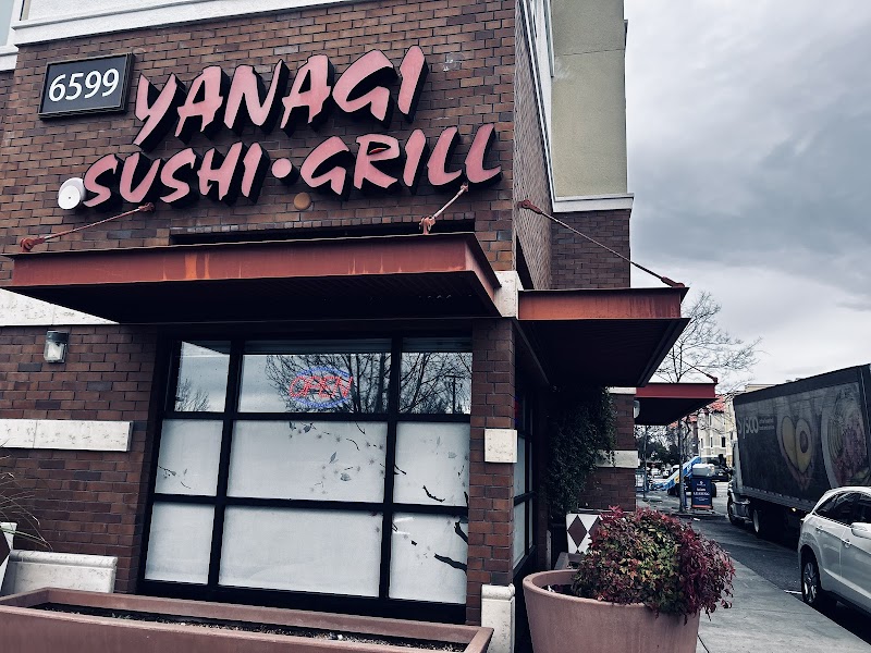 Photo of Yanagi Sushi & Grill Dublin