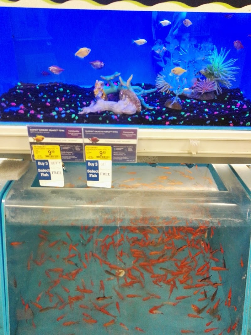 PetSmart photo 4