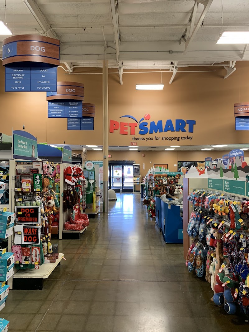PetSmart photo 2