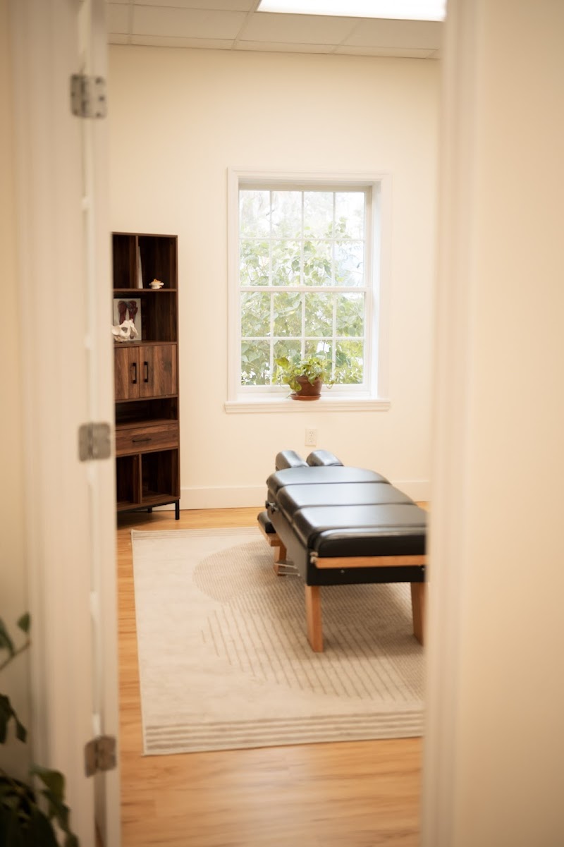 Mäna Chiropractic Dunedin photo 3