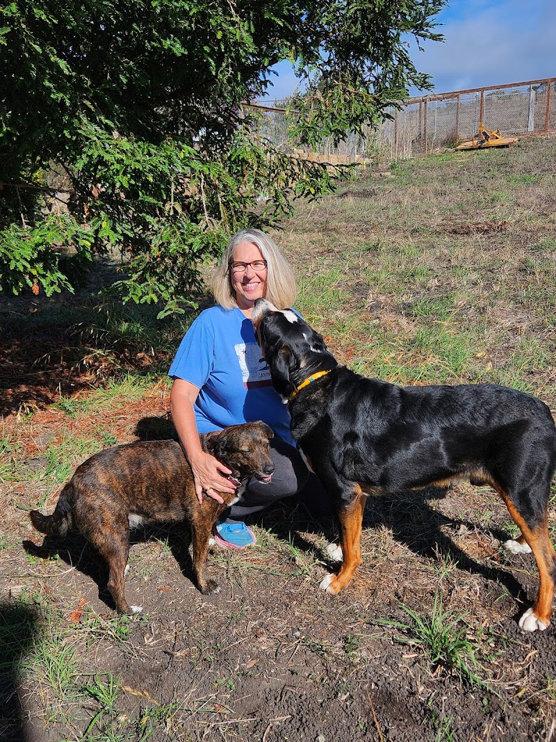 Photo of The Good Dog Farm