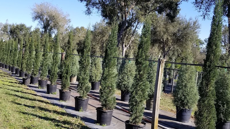 Photo of Plant City Tree Farm