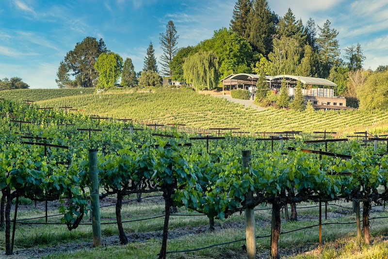 Lynmar Estate Winery photo 5