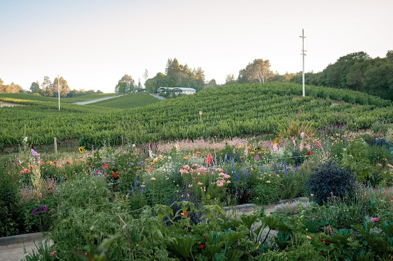 Lynmar Estate Winery photo 4