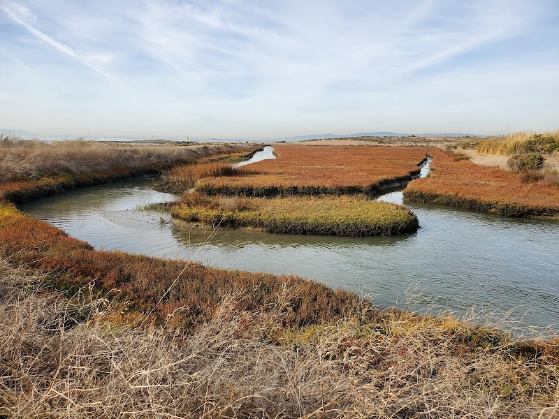 Hayward Shoreline Interpretive Center photo 3