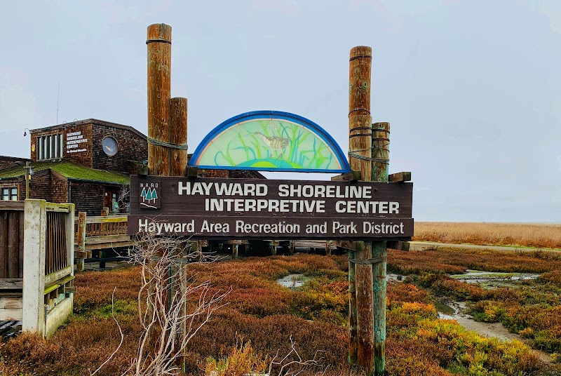 Photo of Hayward Shoreline Interpretive Center