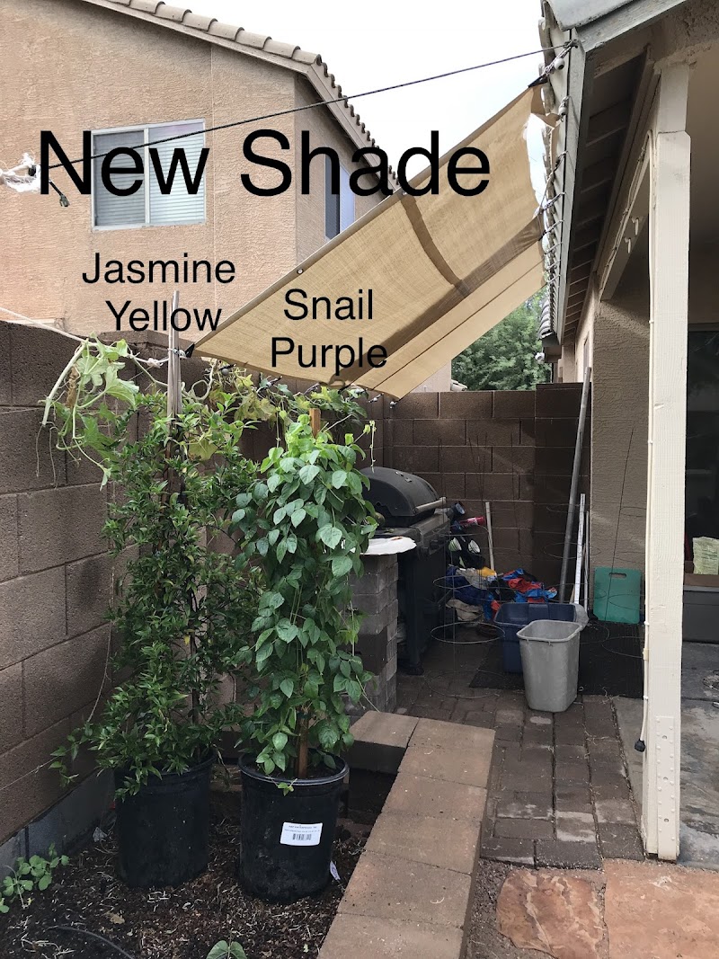 Photo of A & P Nursery