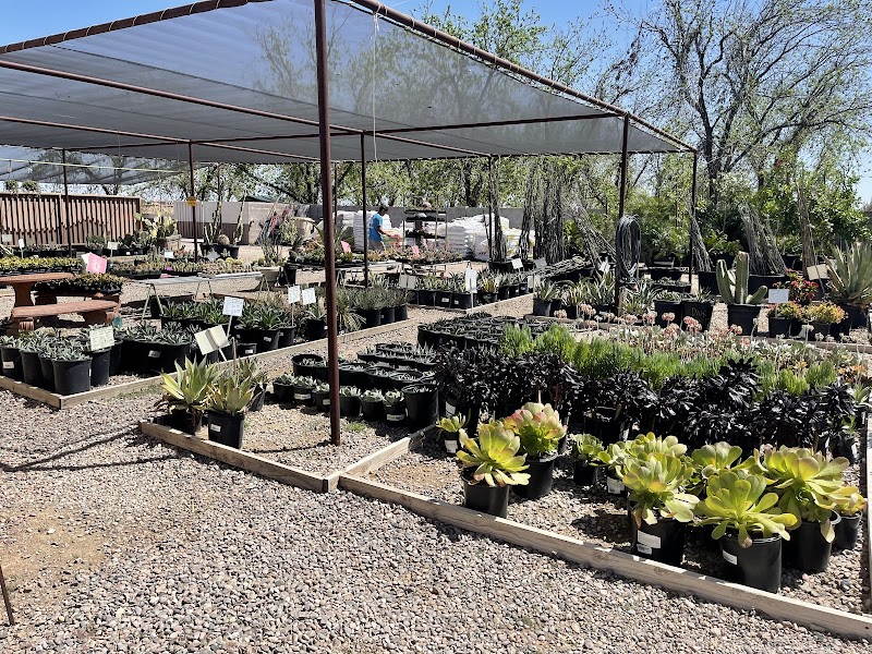 A & P Nursery photo 4