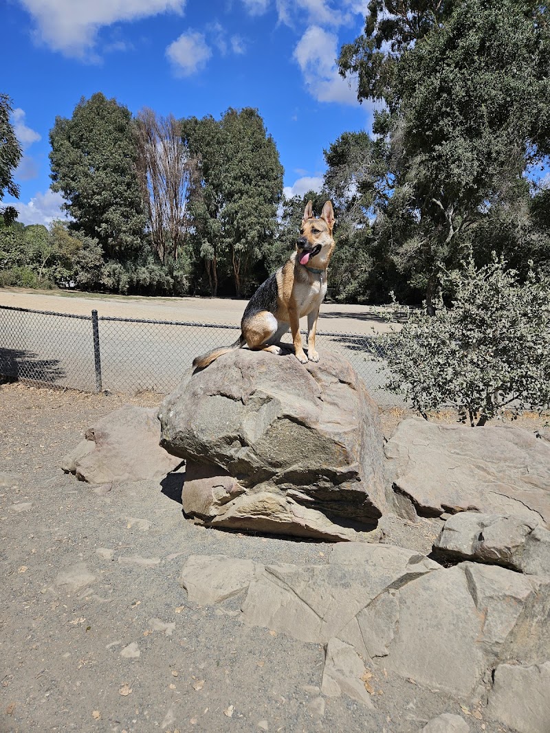 Photo of Earl Warren Dog Park