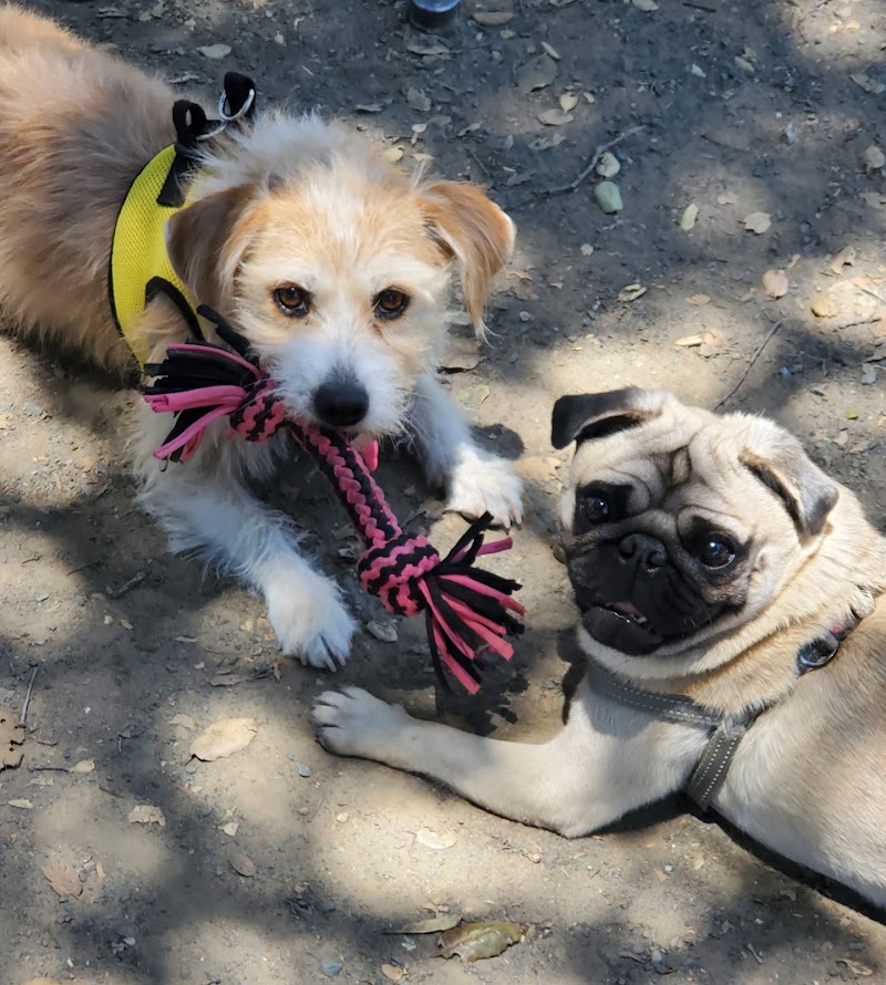 Earl Warren Dog Park photo 5