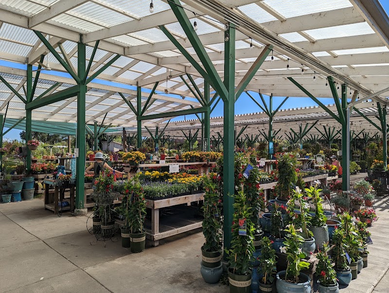 Johnson Garden Center photo 2