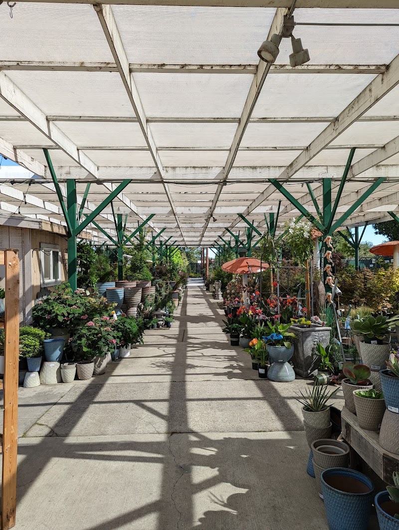 Johnson Garden Center photo 5