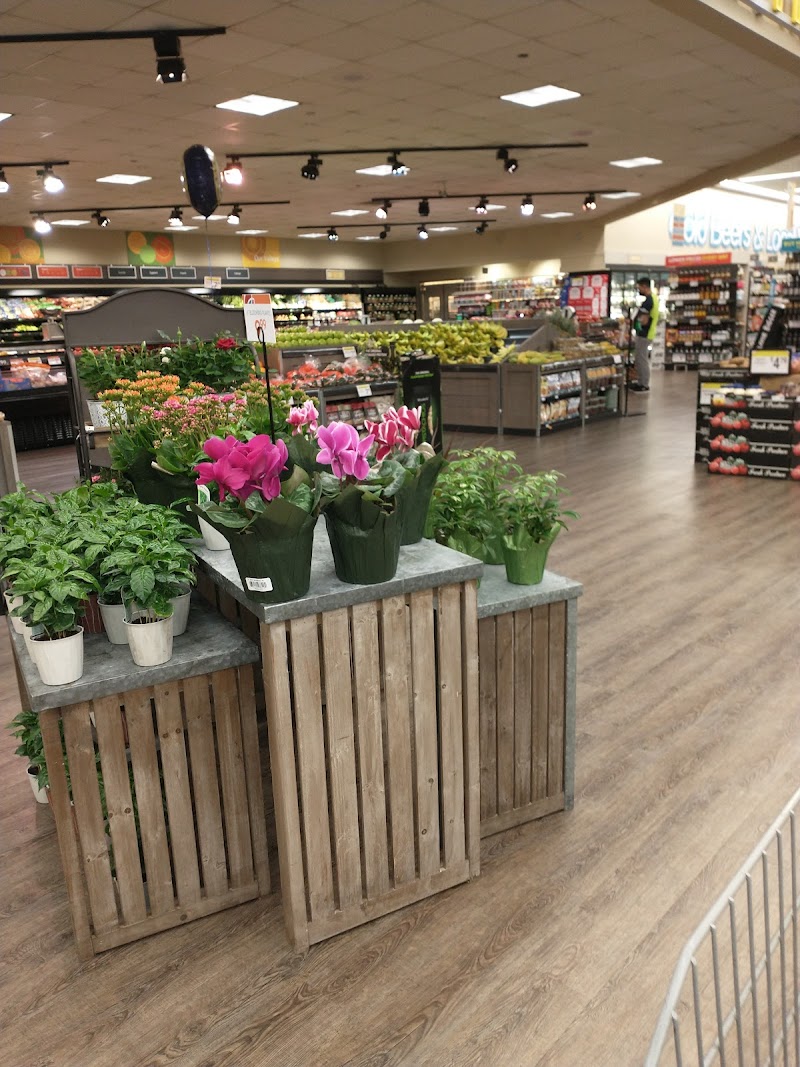 Maxwell Village Shopping Center photo 3