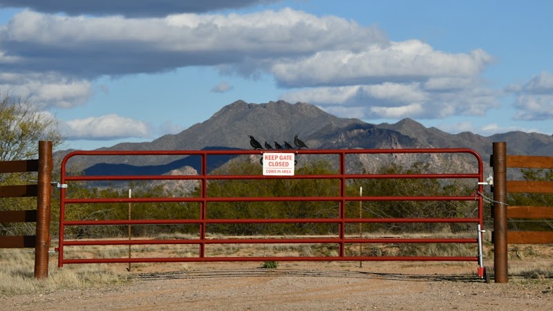 Iron Quail Ranch photo 5