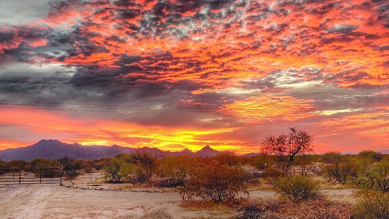 Photo of Iron Quail Ranch