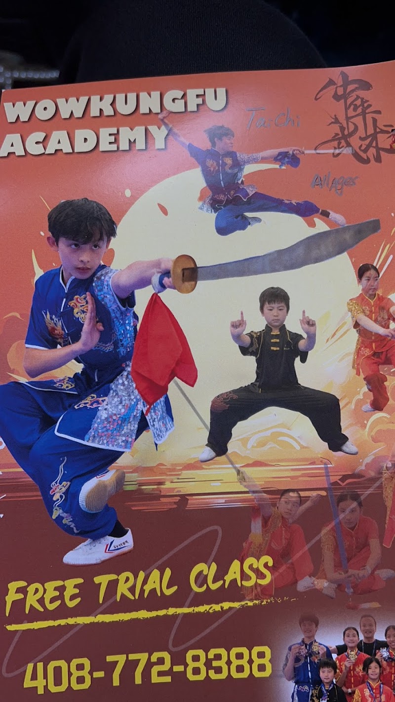 WOW KungFu Academy photo 4