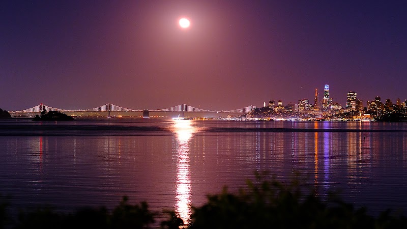 Tiffany Park photo 4