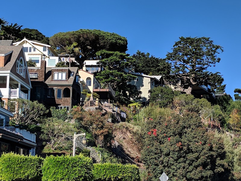 Tiffany Park photo 3