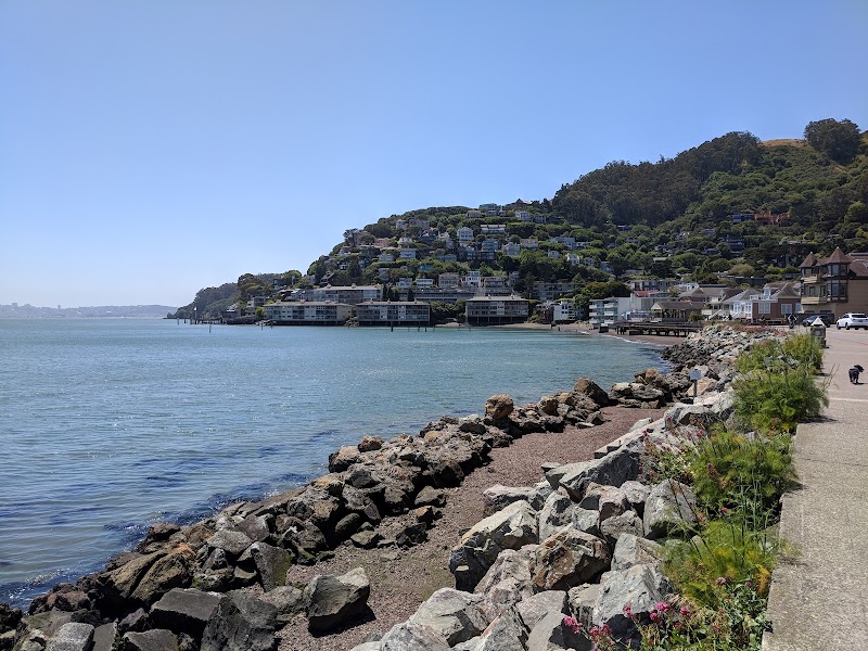 Photo of Tiffany Park