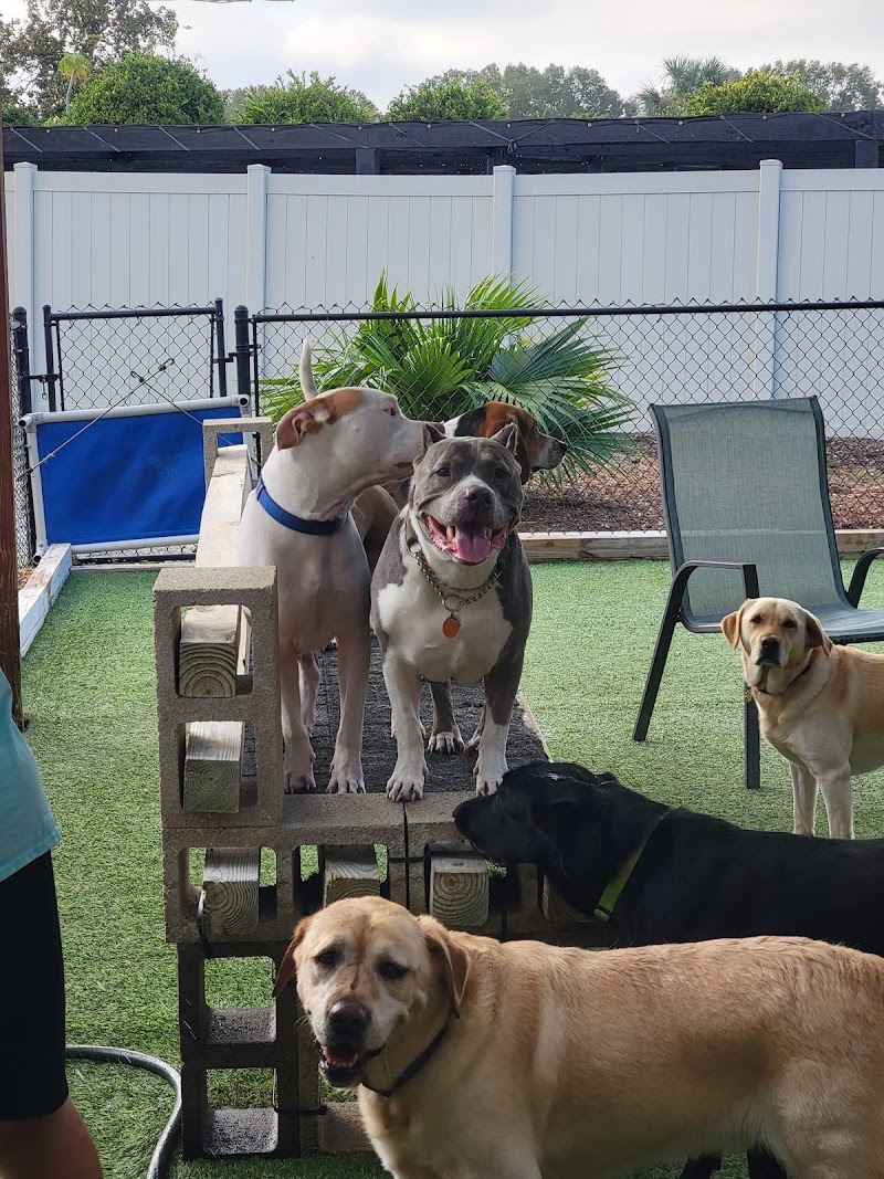 Photo of The Mutt Meetup