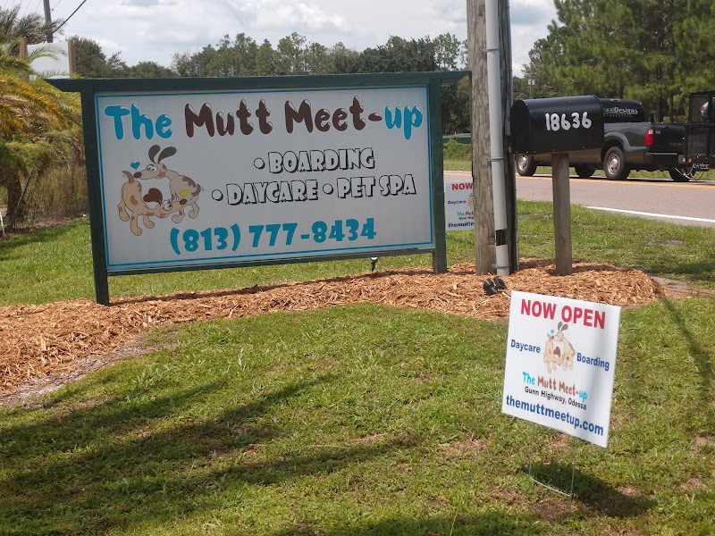 The Mutt Meetup photo 3