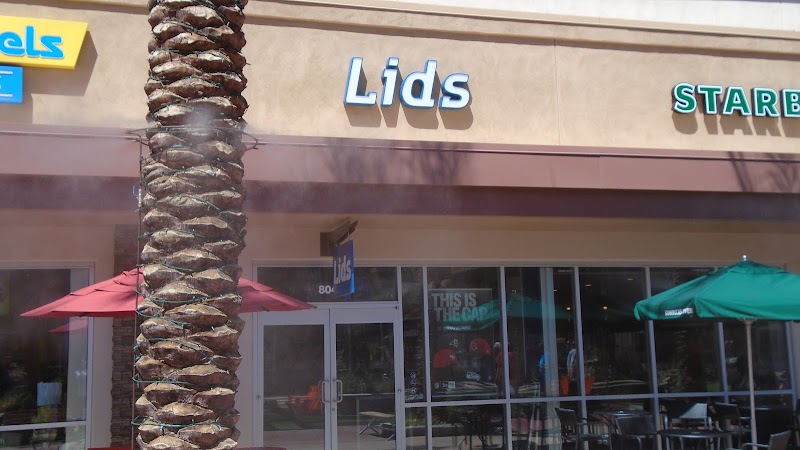 Lids photo 4