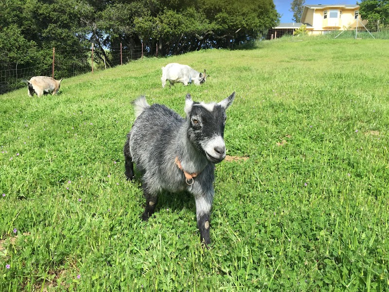 Chetwyn Farm photo 2
