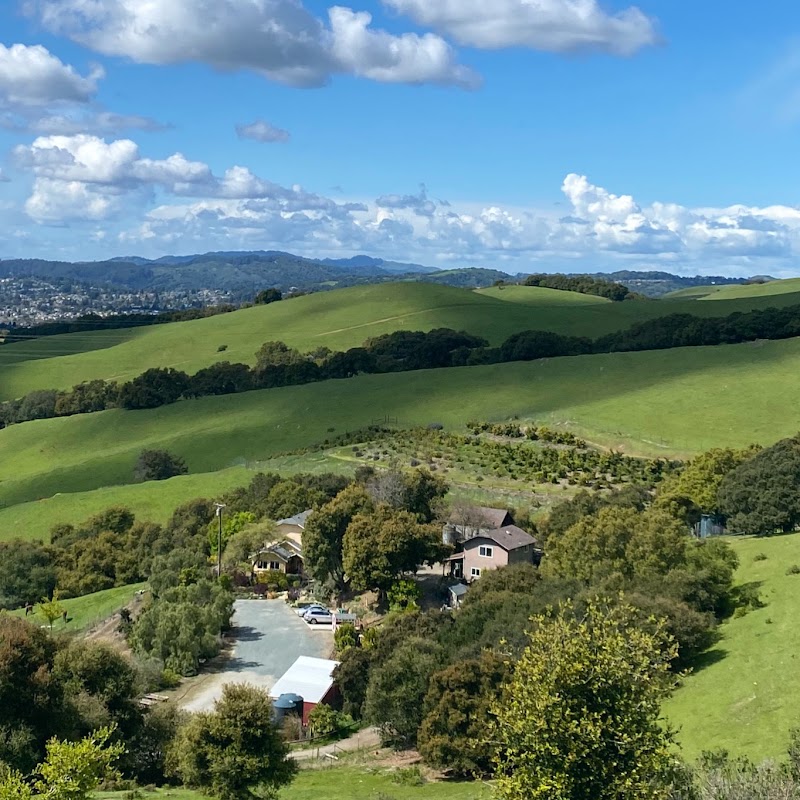 Photo of Chetwyn Farm