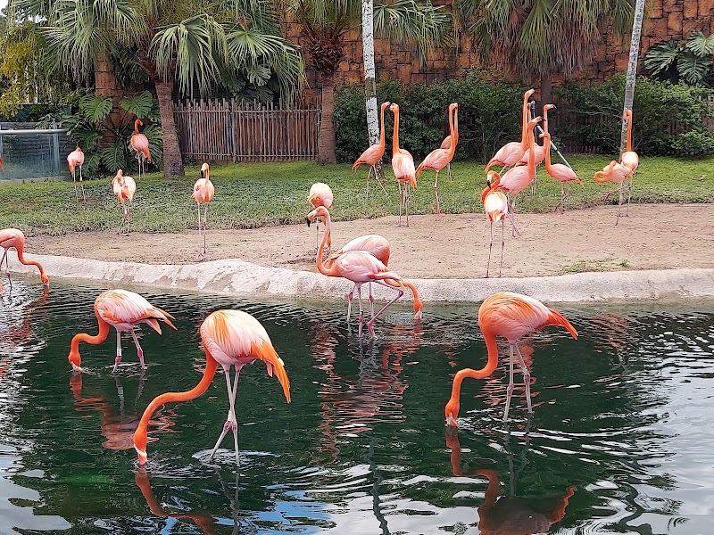 Photo of Zoo Miami